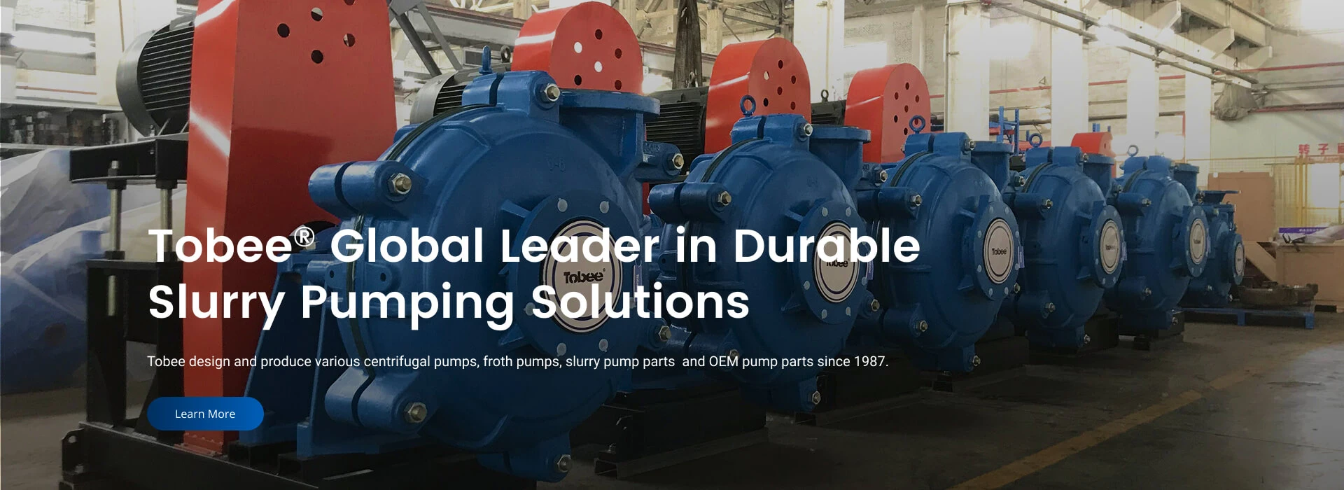 Tobee Slurry Pump for Mining
