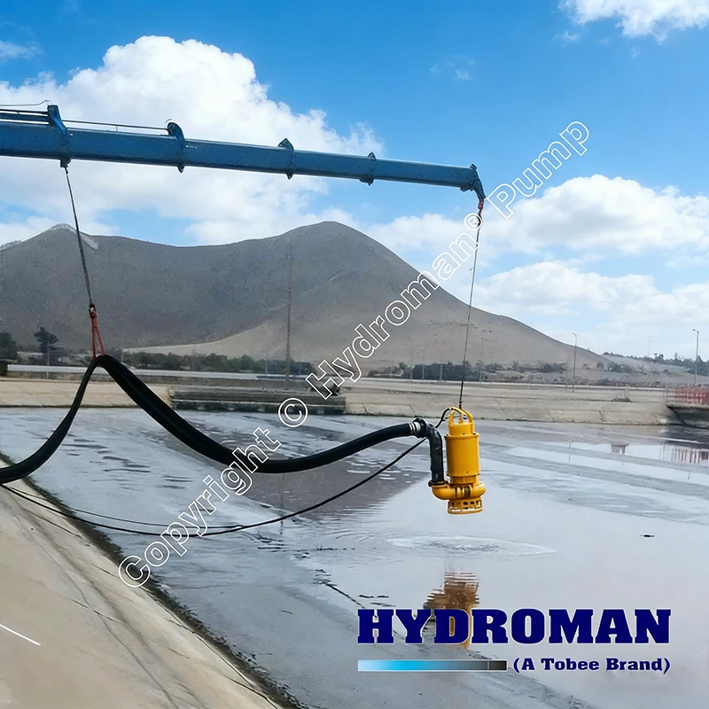 TJQ Electric Slurry Pump in Peru