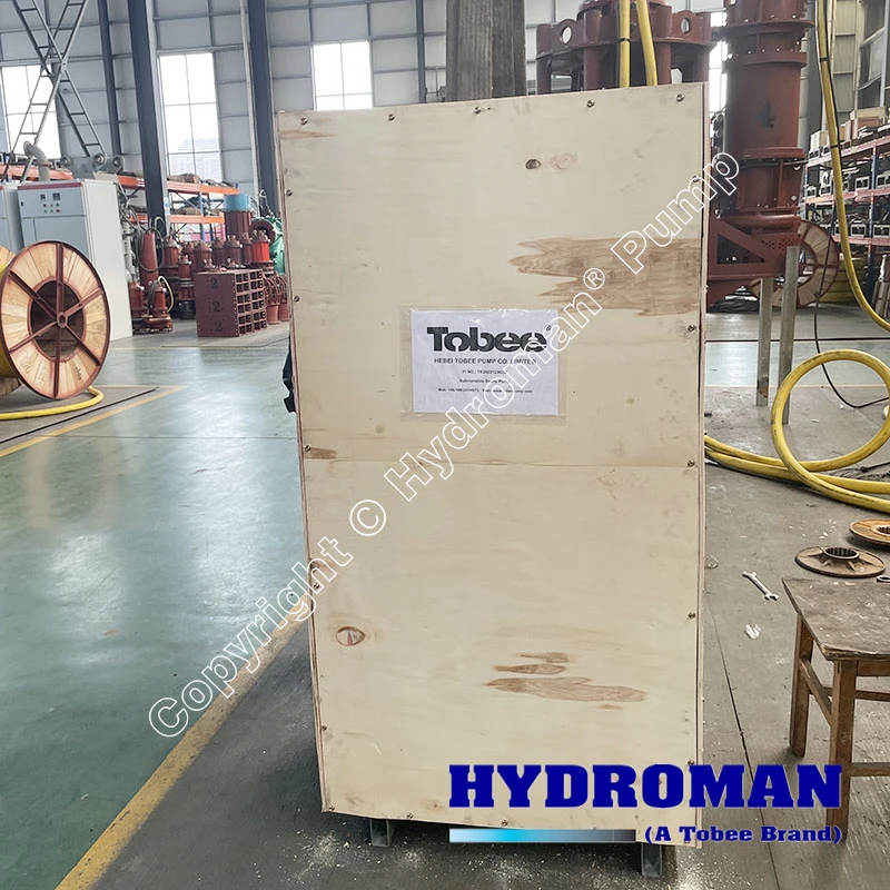 Submersible Acid Slurry Pump in Stainless Steel Material by Electric Driven