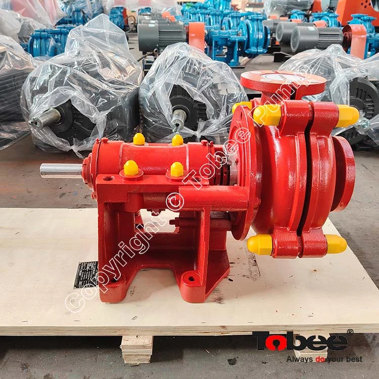 Stainless Steel Slurry Pump for Processing