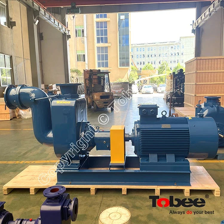 250TX600-50 Self-Priming Pump with Variable Frequency Motor
