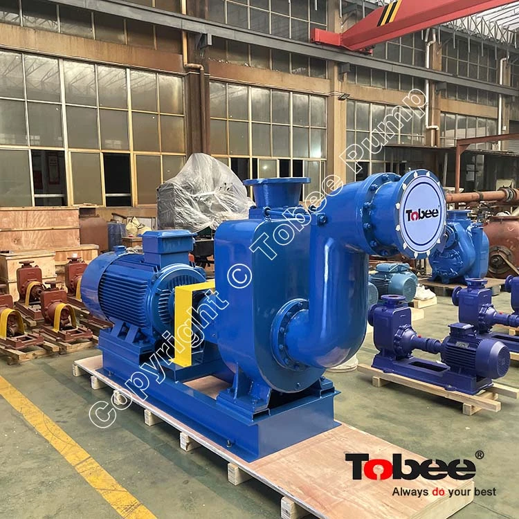  Heavy Duty Self Priming Pump withVFD Control Cabinet 