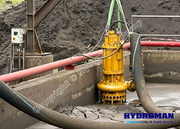 Vertical Submerged Sand Sludge Pump with Agitator