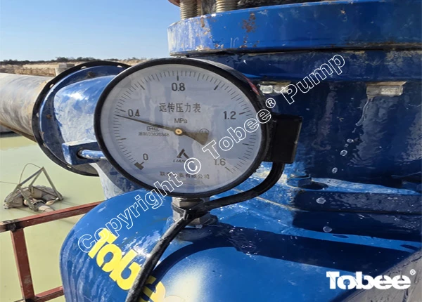 Aeries Self Priming Centrifugal Pump for Aggregate