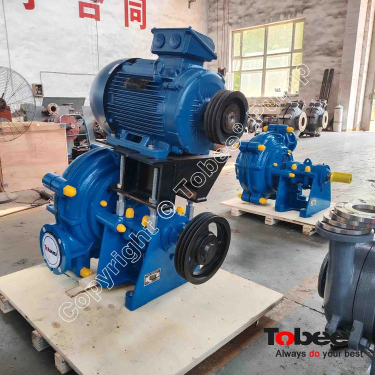 Rubber Lined Pump For Sale