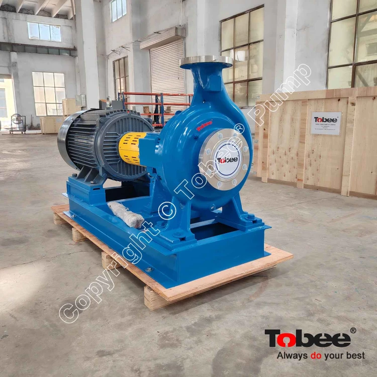 China S Paper Pumps