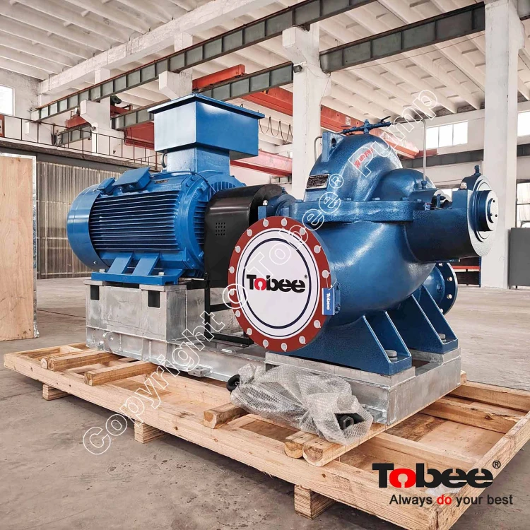 Sea water Pump