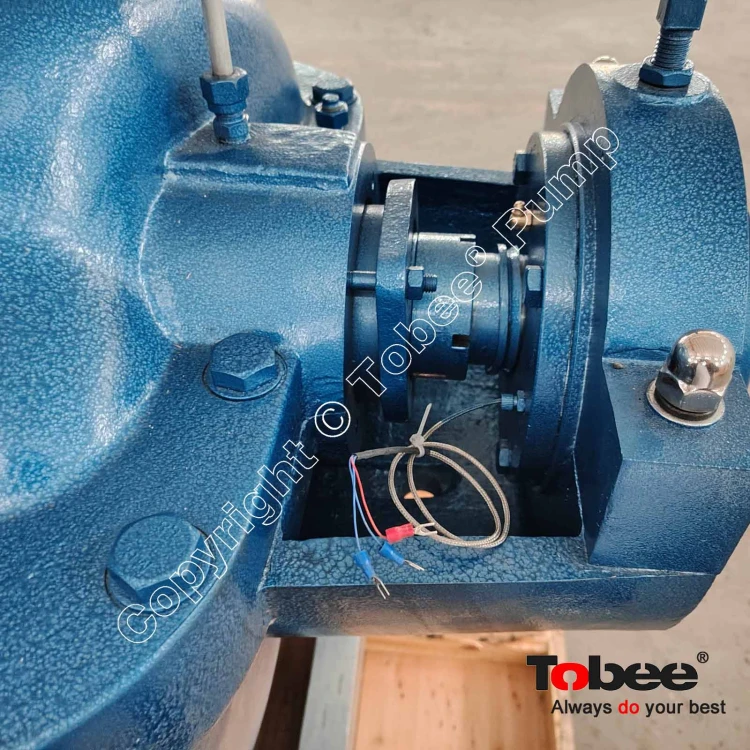 Pump Bearings with Windings