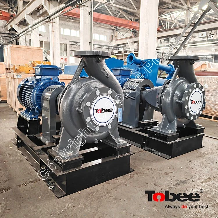 Magflow<sup>&reg;</sup>  TS End Suction Pump