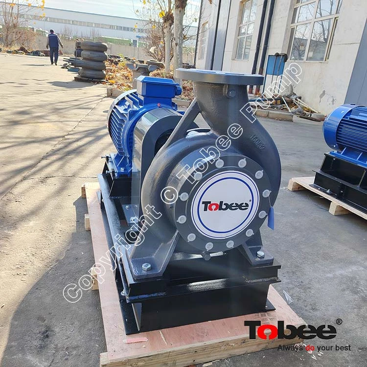 Magflow<sup>&reg;</sup>  TS Clean WaterPump