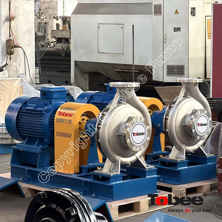 Stainless Steel Water Pump