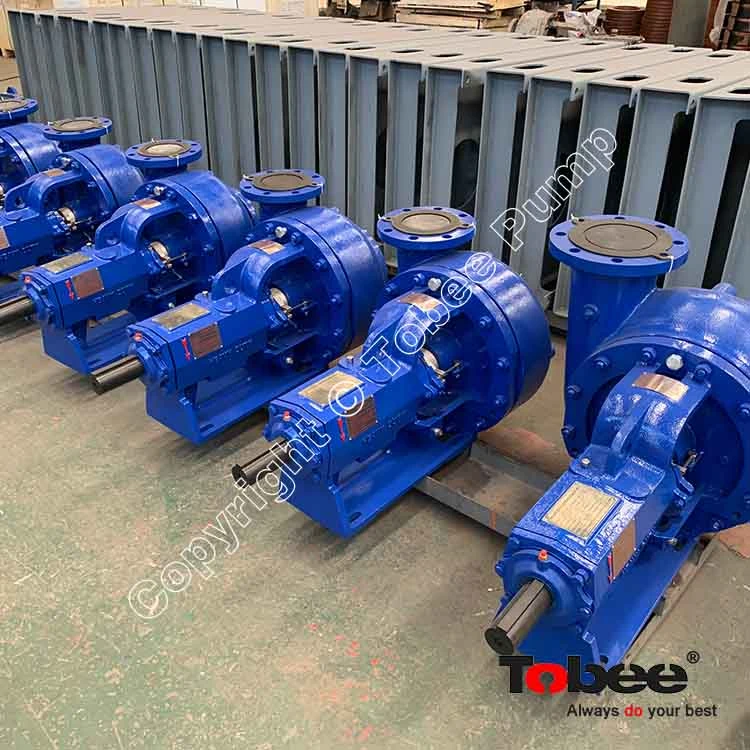 Drilling mud circulation pumps
