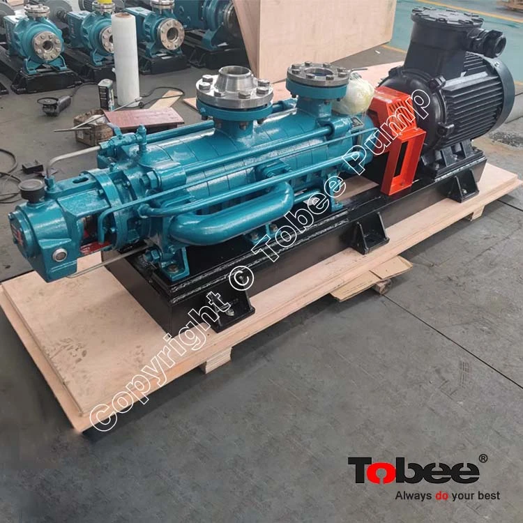 Horizontal Multistage Pump