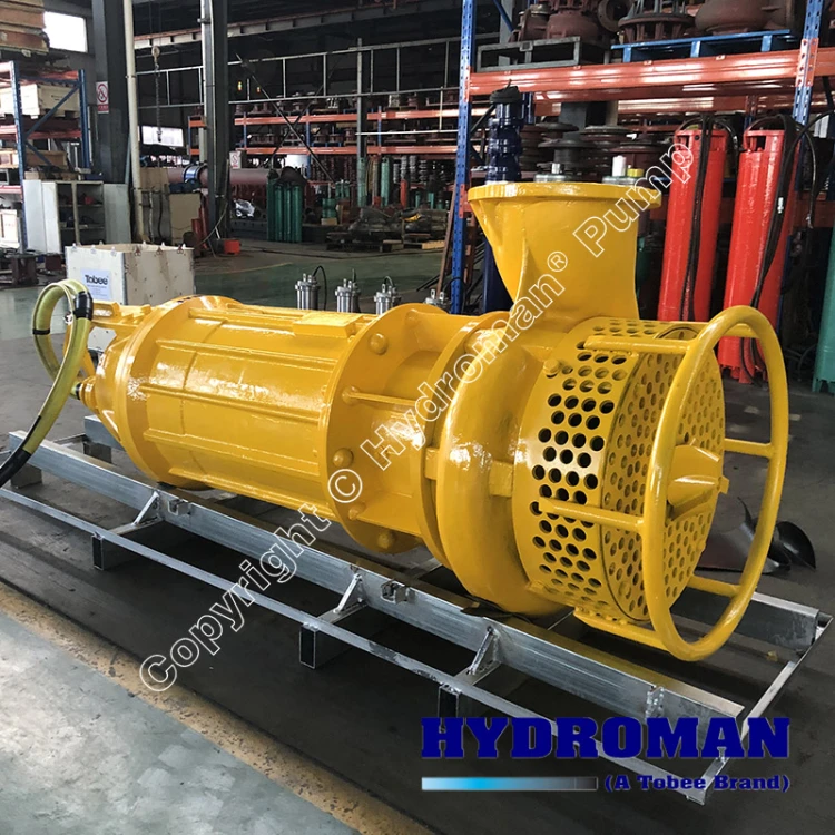 Electric Submersible Slurry Pump