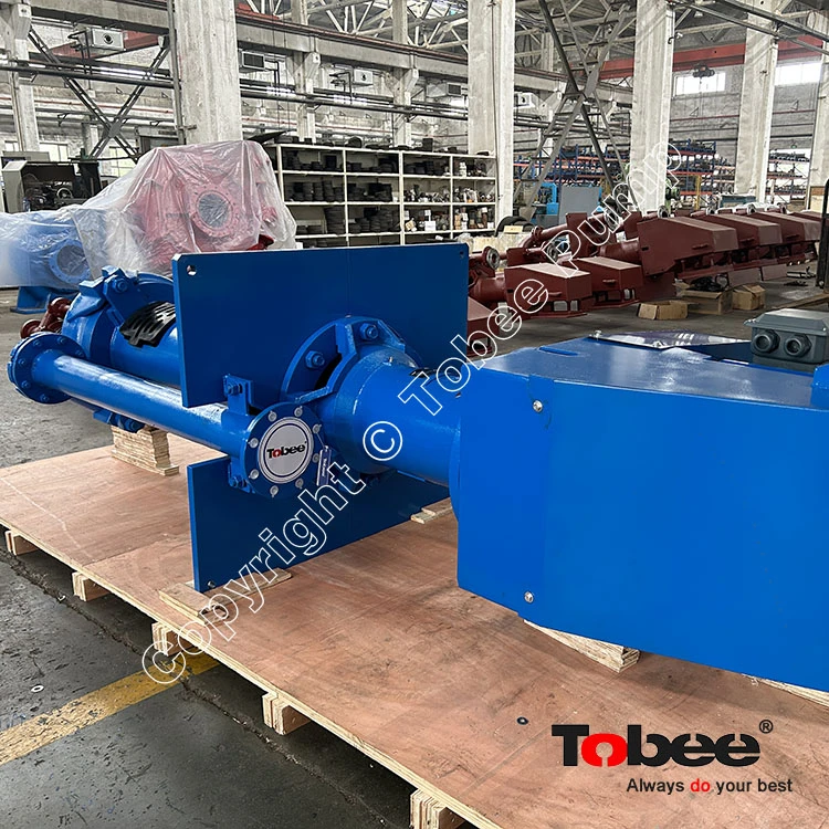 Tobee® TP100RV Column Pump on-site Applications