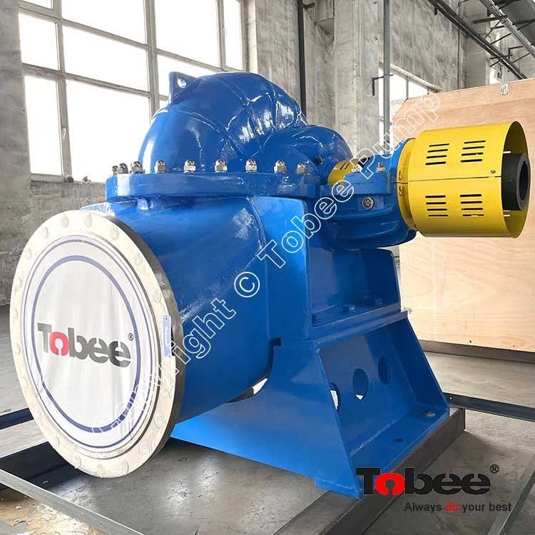 FP Paper Pumps