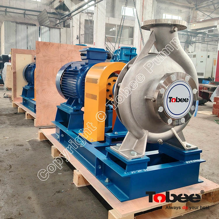 Clean Water Pump