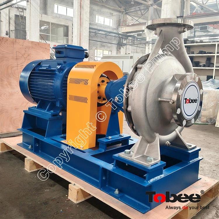 Duplex SS Water Pump