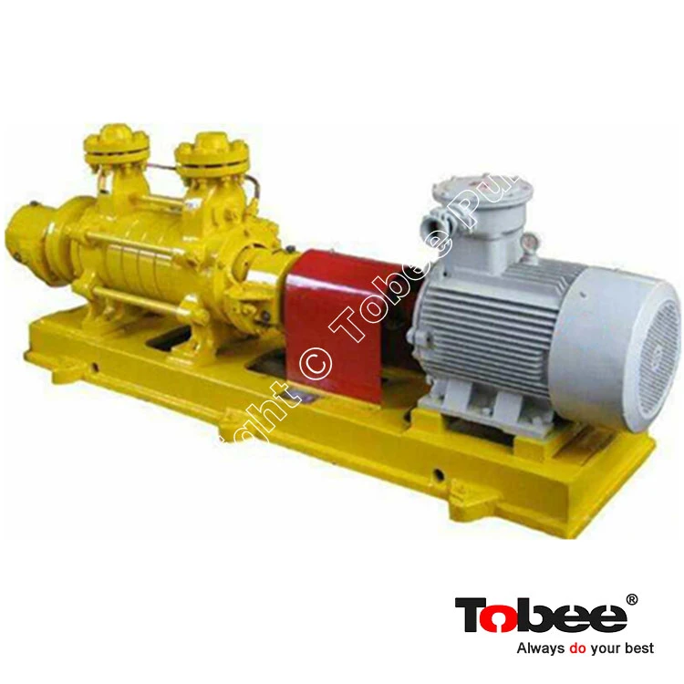 Magflow&reg;&nbsp;Boiler Feed Water Pump