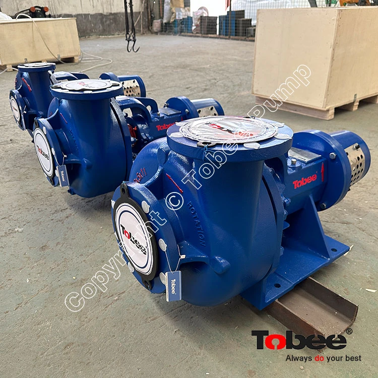 Sandman Mission Sandmaster 6x5x11 Pump