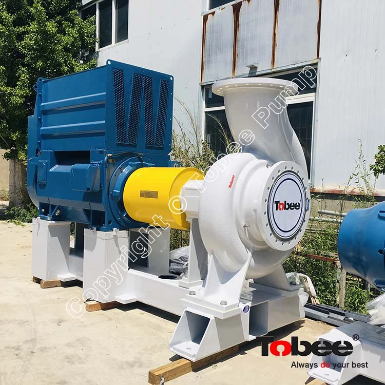 China APP Paper Pumps