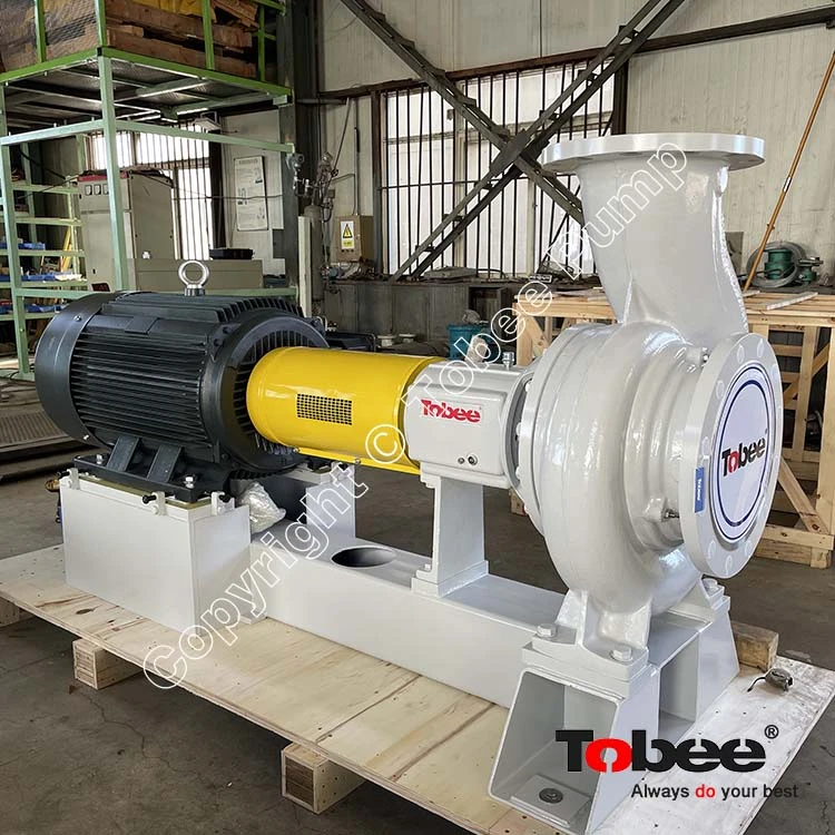 APP51-300 Paper and Pulp Pumps 