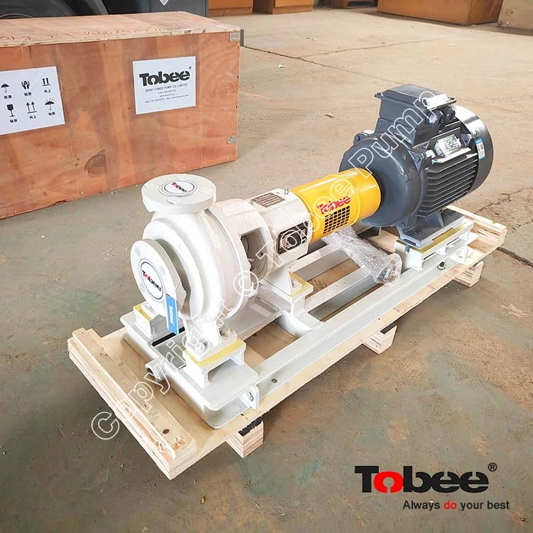 China APP Process Pumps