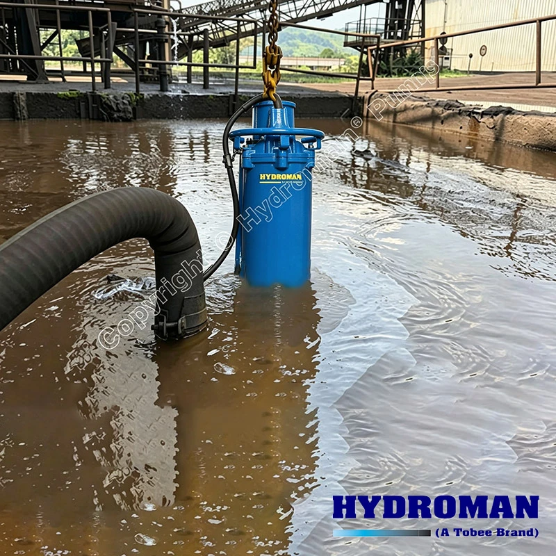 Electric Sewage Pump for Waste Water