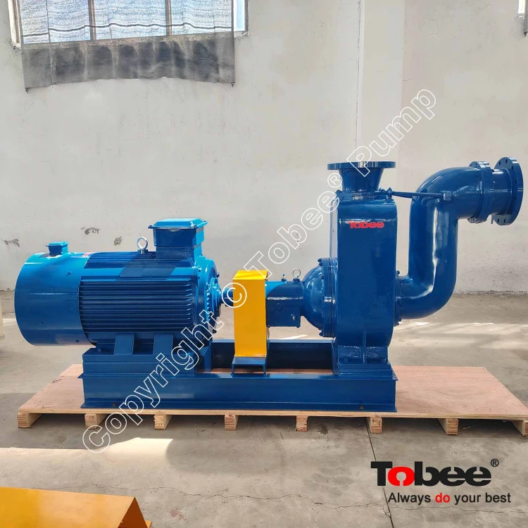 rainwater pump