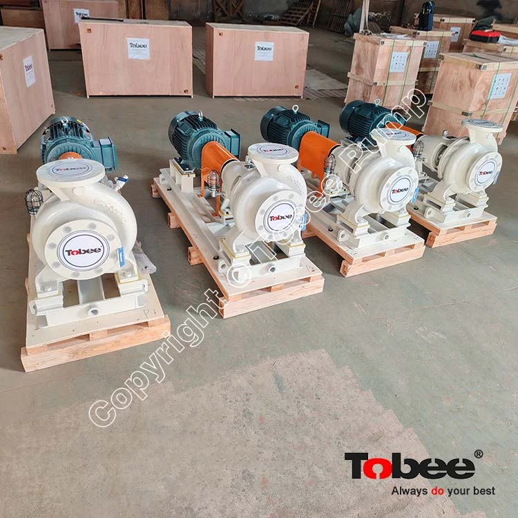 China CZ100-250 Pumps