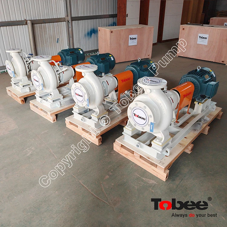 CZ100-250 Process Pumps 