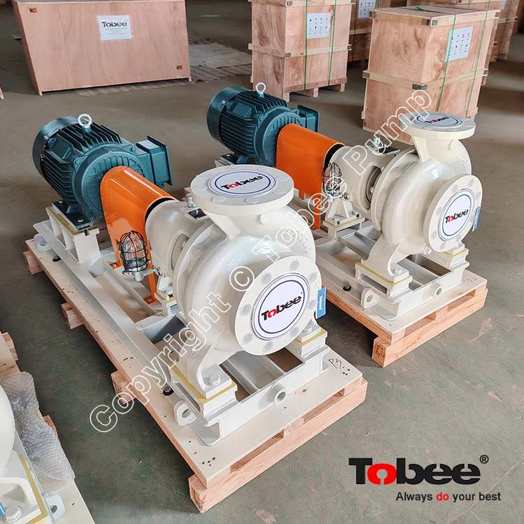 Sulman CZ100-250 Pumps for Petrochemical Plants