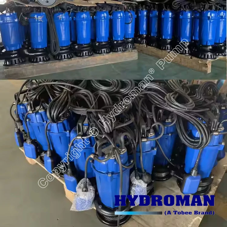 Sewage Submersible Pumps