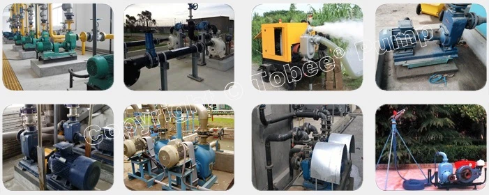 solids handling pump