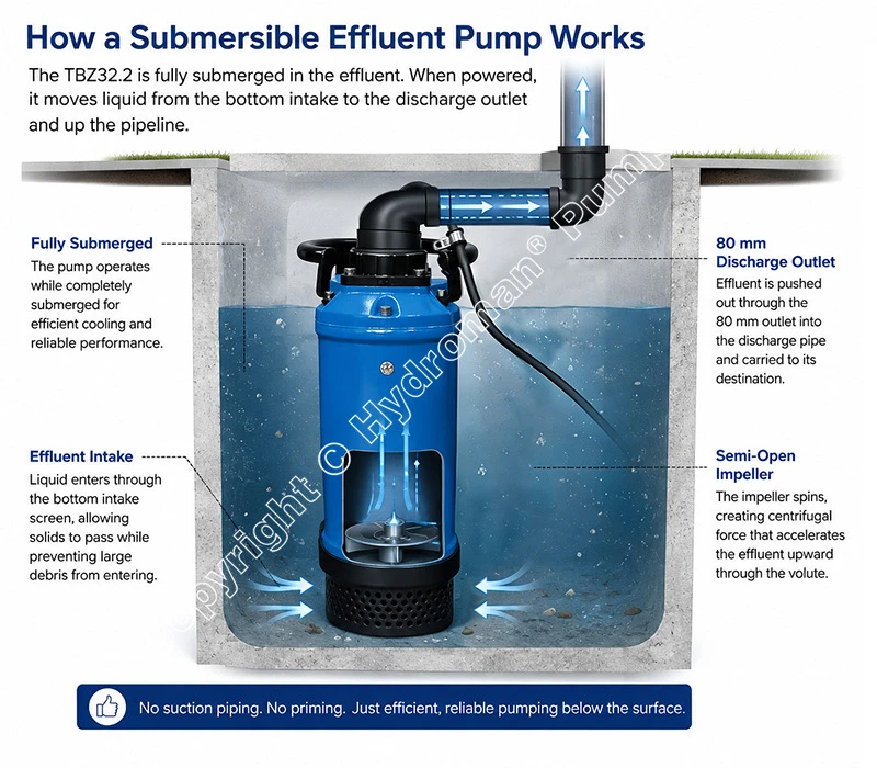 Hydroman Electric Effluent Pump Work