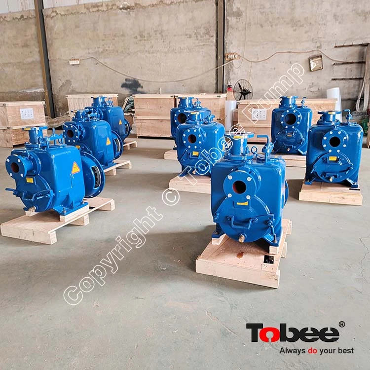 High-Efficiency Self-Priming Pump