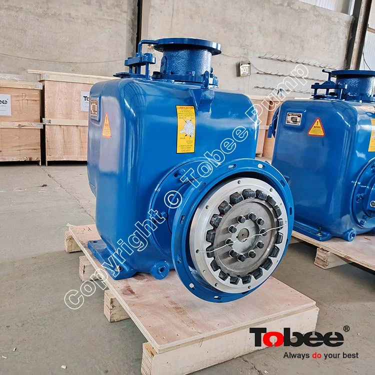 SAE Coupling