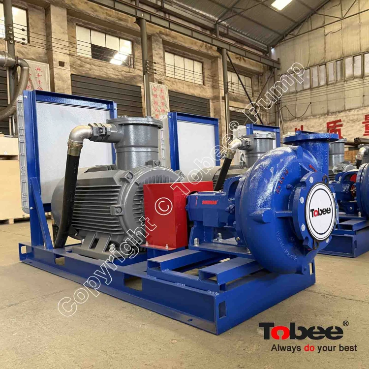Sandman Mission 2500 Supreme 8x6x14 Desander Pump