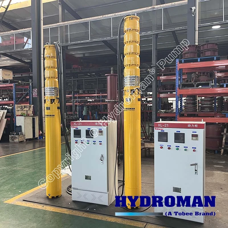 Hydroman Deep Well Borehole Pumps with Control Cabinet