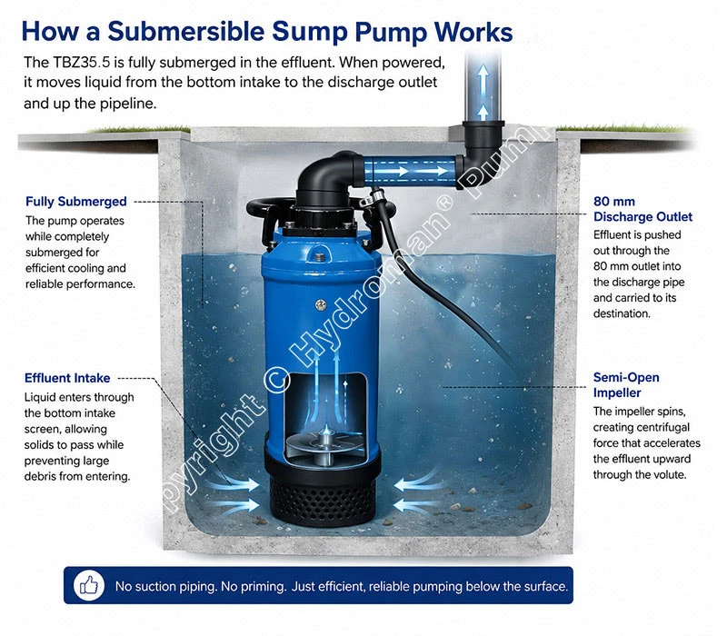 Best Submersible Sump Pump Work