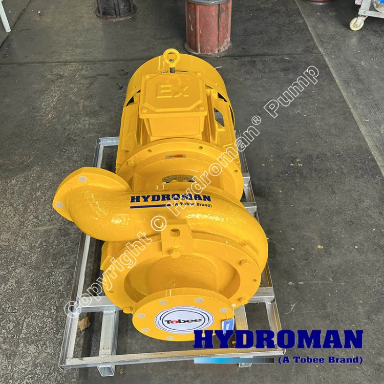 Horizontal Discharge Pump for Micro tunnelling machine charge