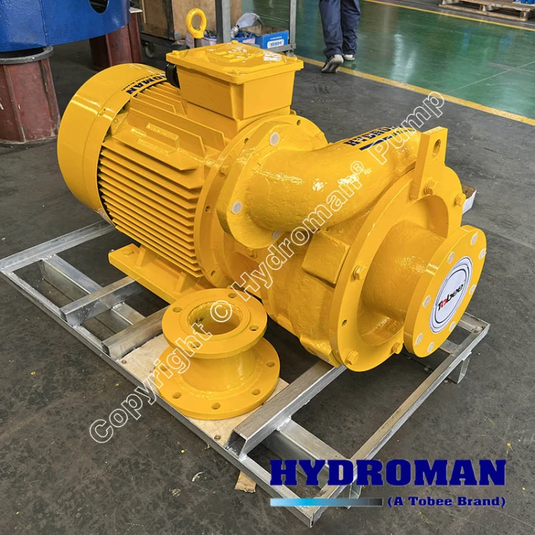 Tunnel Shield Slurry Pump