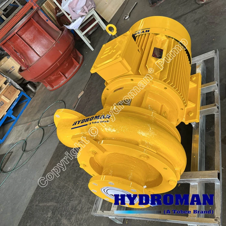 Tunnel Boring Machine Slurry Pump