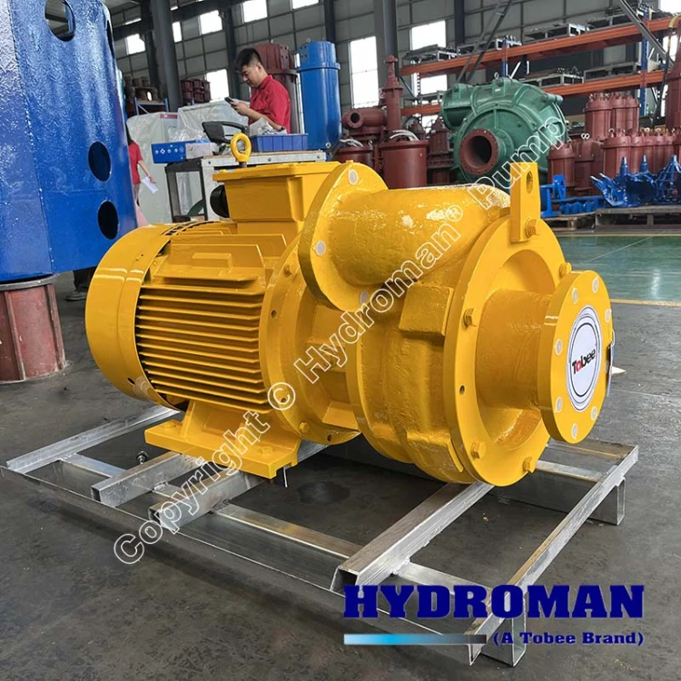 Tunnel Pump for TBM