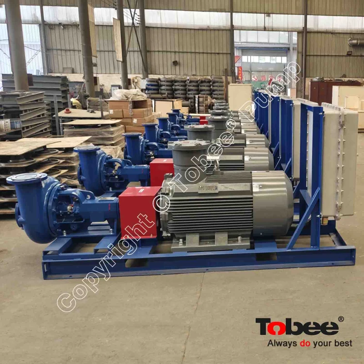 Mission Pump with Variable Operating Speed