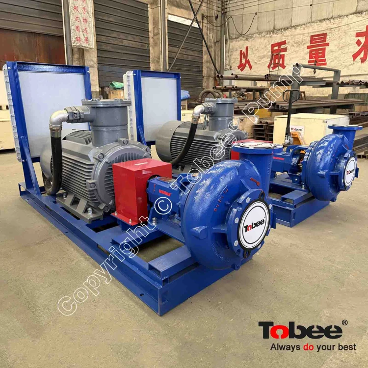 Mission Dual Speed Motor Centrifugal Pumps
