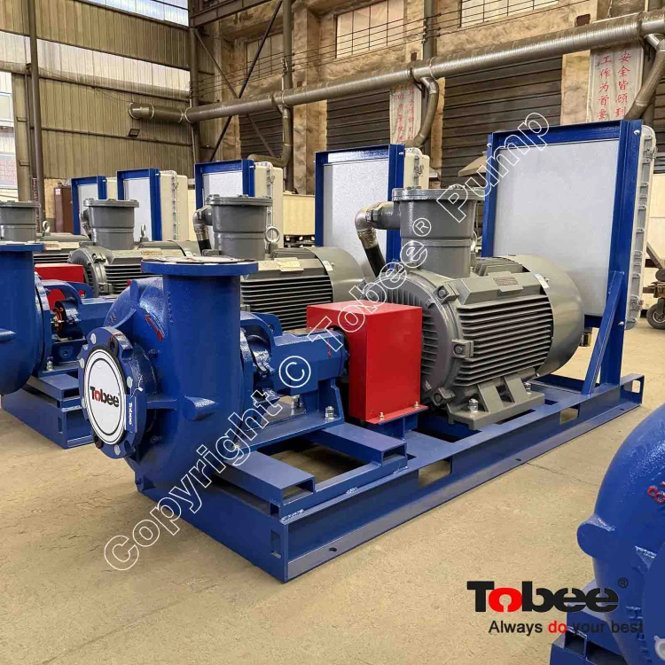 Mission 2500 Pump with Dual Speed Motor